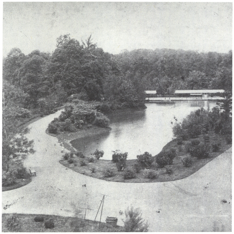 Lullwood Bridge and Surroundings, Prospect Park 