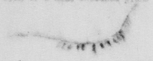 graphic from original document
